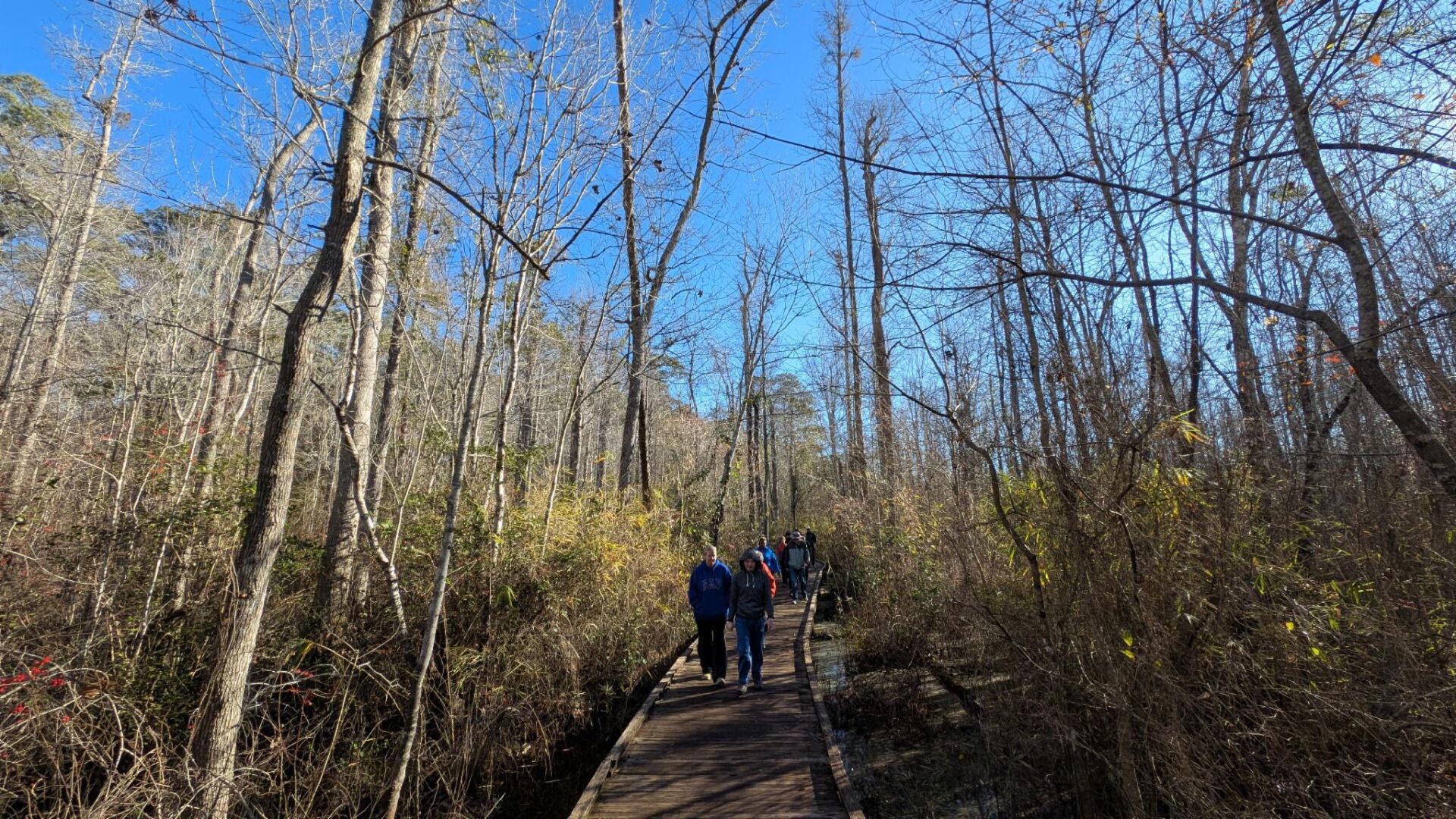 Free admission to South Carolina state parks on Black Friday
