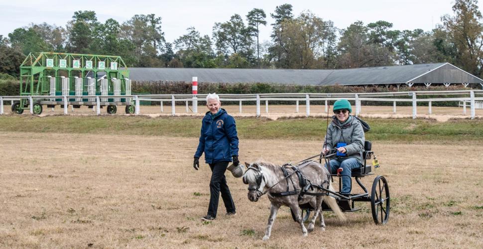 American Driving Society holds annual meeting in Aiken Aiken Area