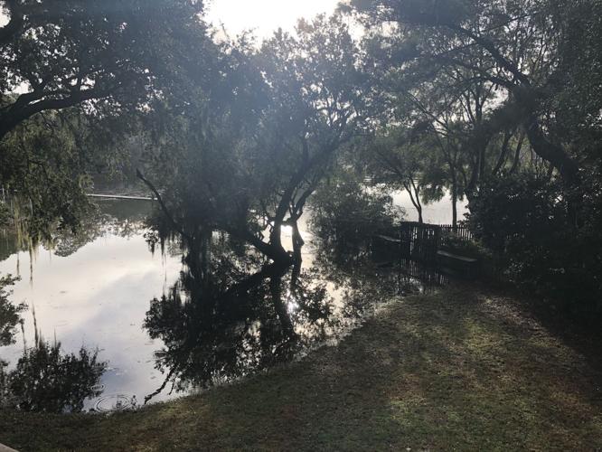 Charleston sees 6th highest tide in Holy City's history News