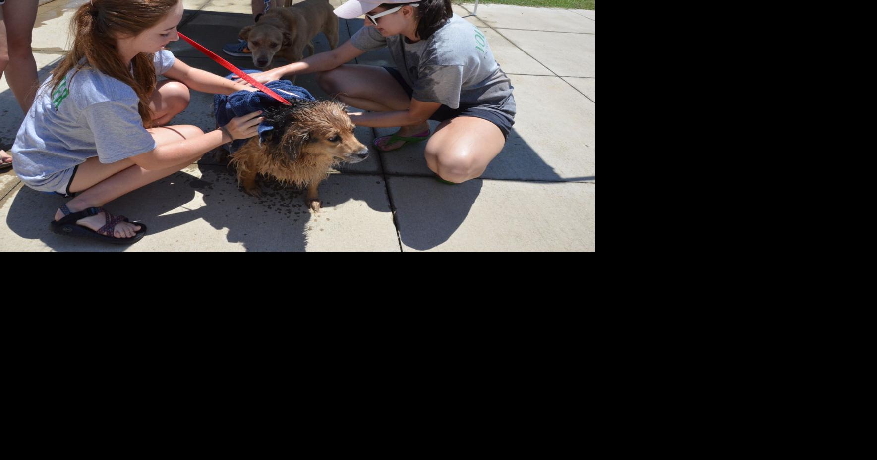 ANIMAL CONNECTION: A letter of thanks to SPCA Albrecht Center volunteers