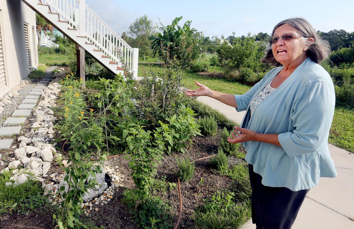 Permaculture