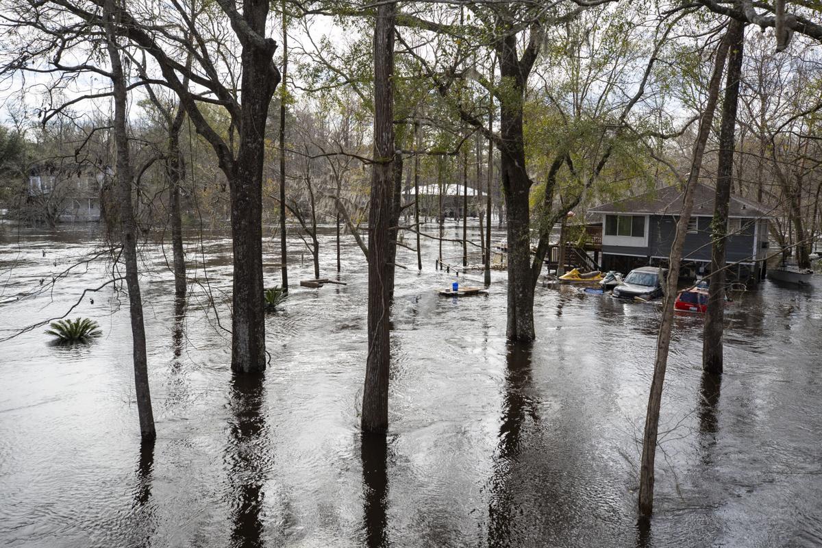 flooding along edisto.jpg