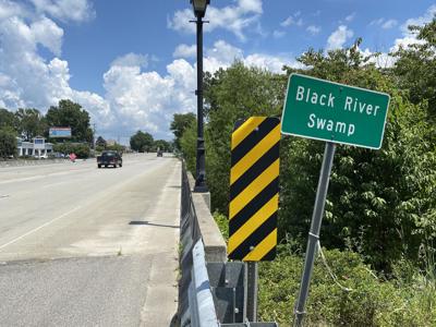 Black River swamp sign pic