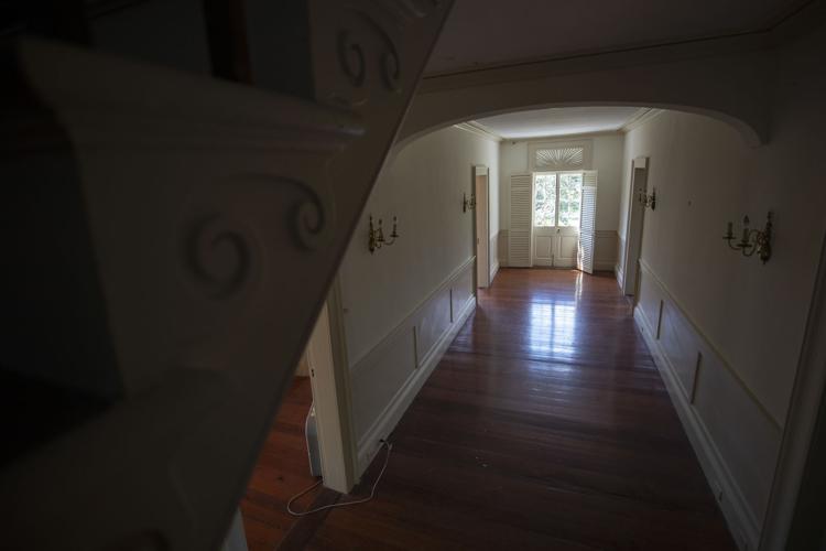 Photos Inside the Wedge Plantation Multimedia