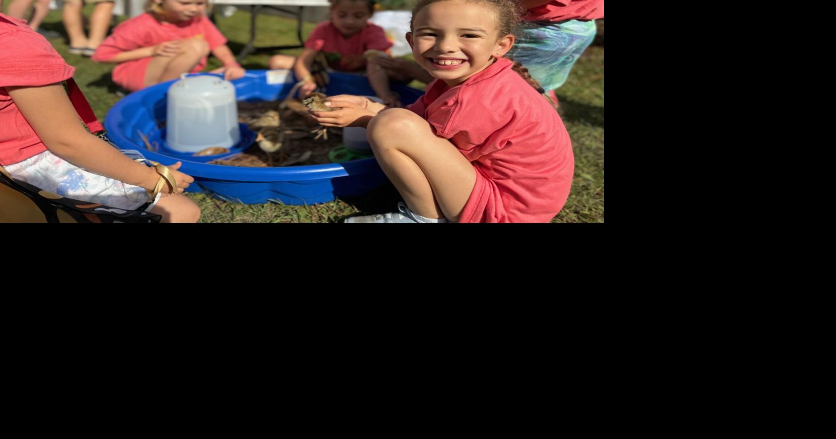 Nonprofit Katie’s Krops hosts annual Springfest on April 25