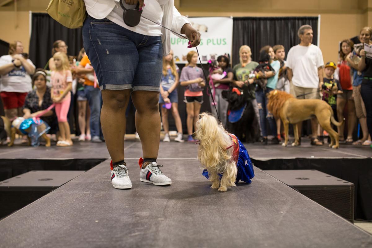 Pet Expo-October 14, 2017-638