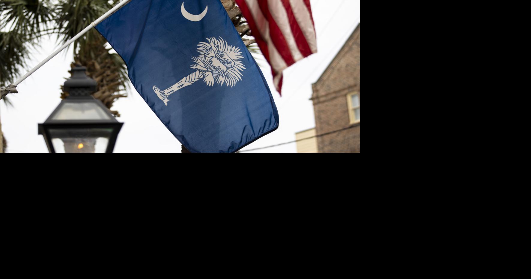 Palmetto flag design bill for SC flies through Senate committee