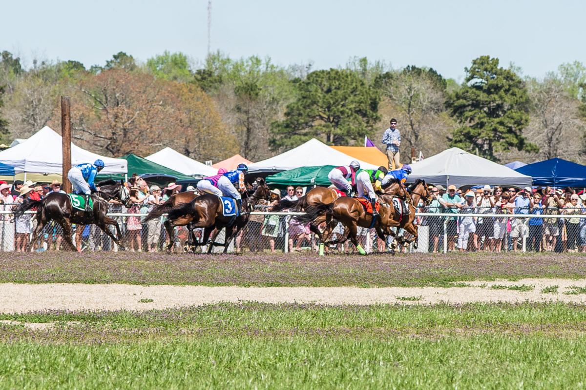 Annual Carolina Cup horse race in Camden