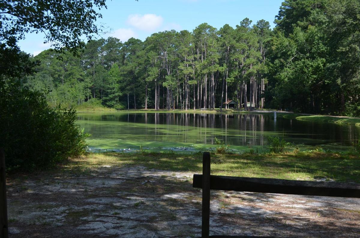 Escape to Aiken State Park: Where History Meets Nature in South Carolina