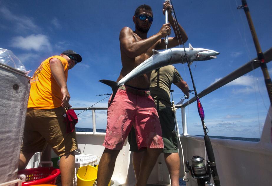 Fishing In The Gulf Stream News Postandcourier Com