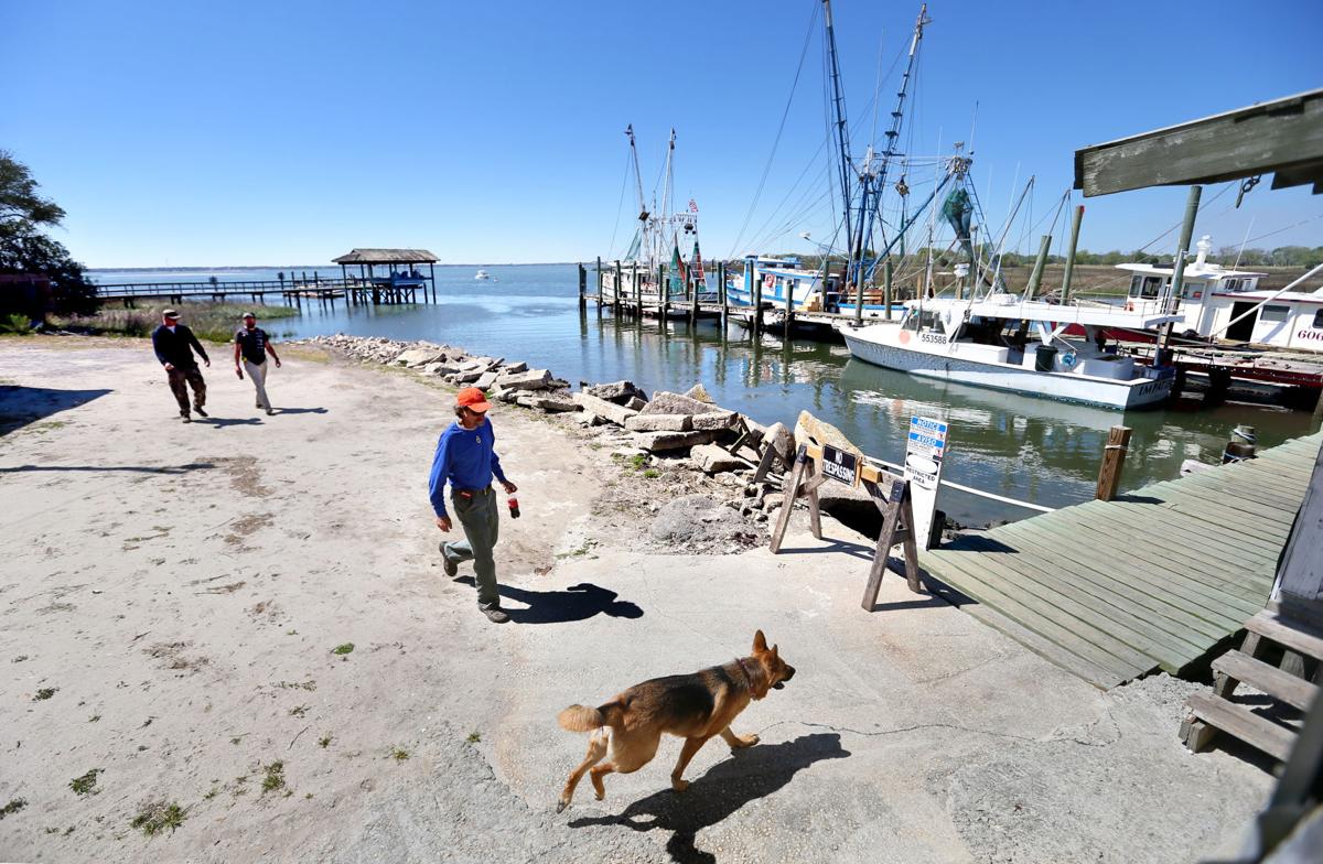 Mount Pleasant takes over SC shrimp dock on Shem Creek for 4.4 million