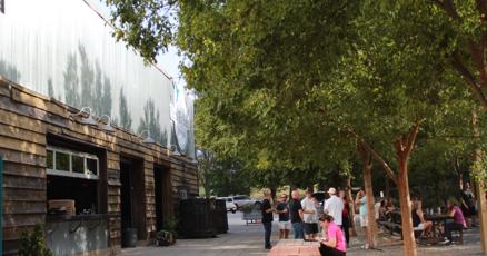 Hampton Station faces uncertainty after anchor tenant Birds Fly South closes Hampton Station faces uncertainty after anchor tenant Birds Fly South closes