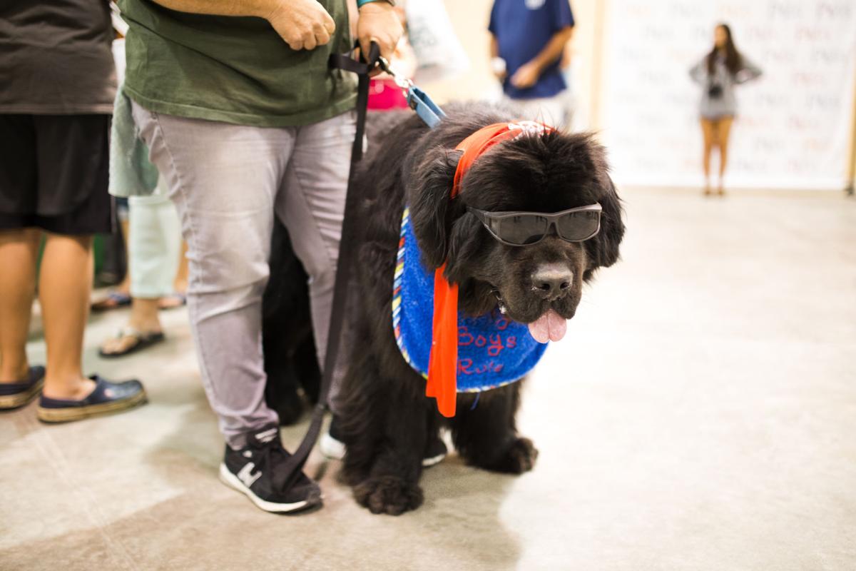 Pet Expo-October 14, 2017-413