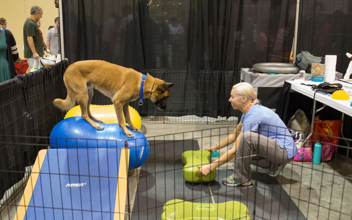 Pet Expo-October 14, 2017-460