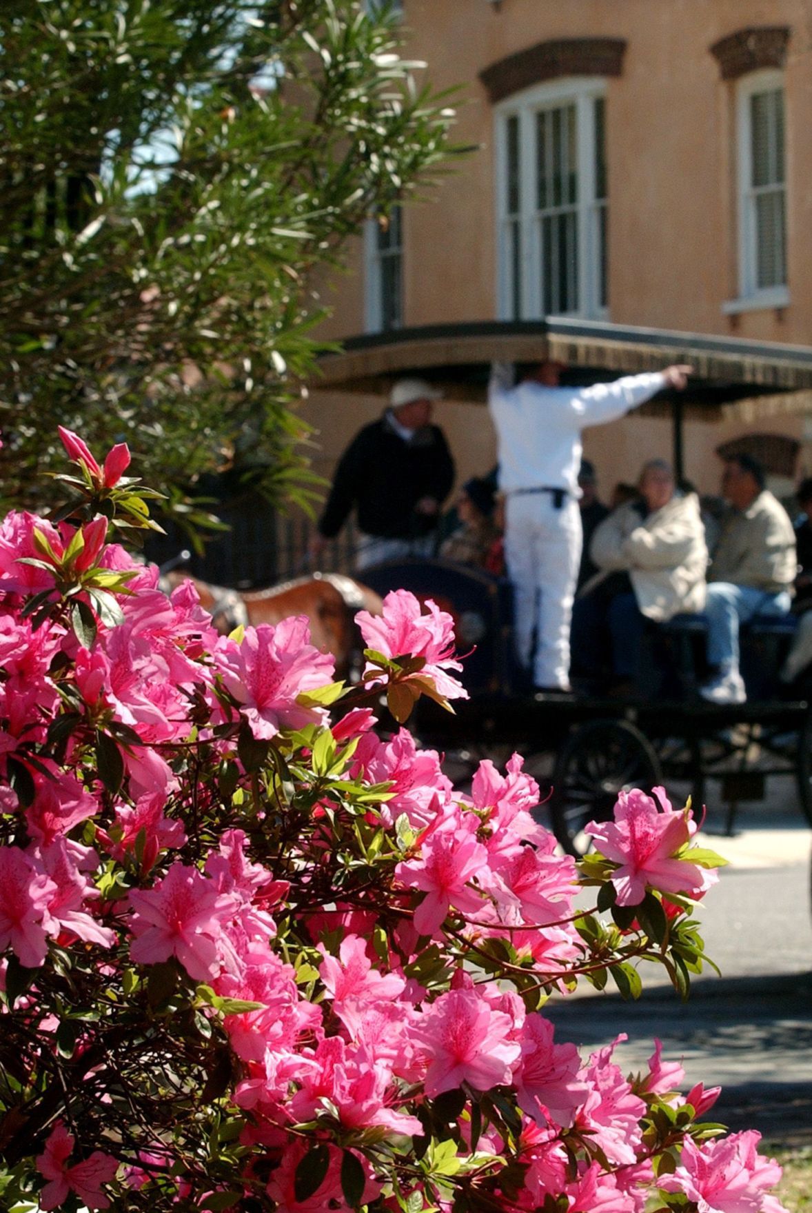 Charleston tourism