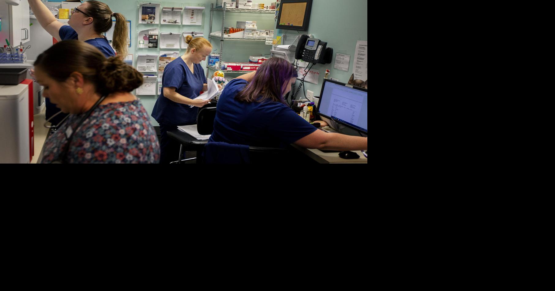 South Carolina veterinarian awards give vets a boost after challenging year | News
