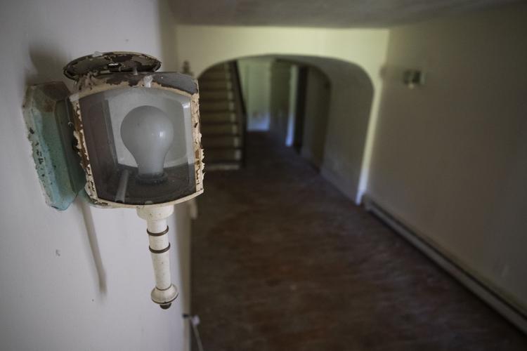 Photos Inside the Wedge Plantation Multimedia