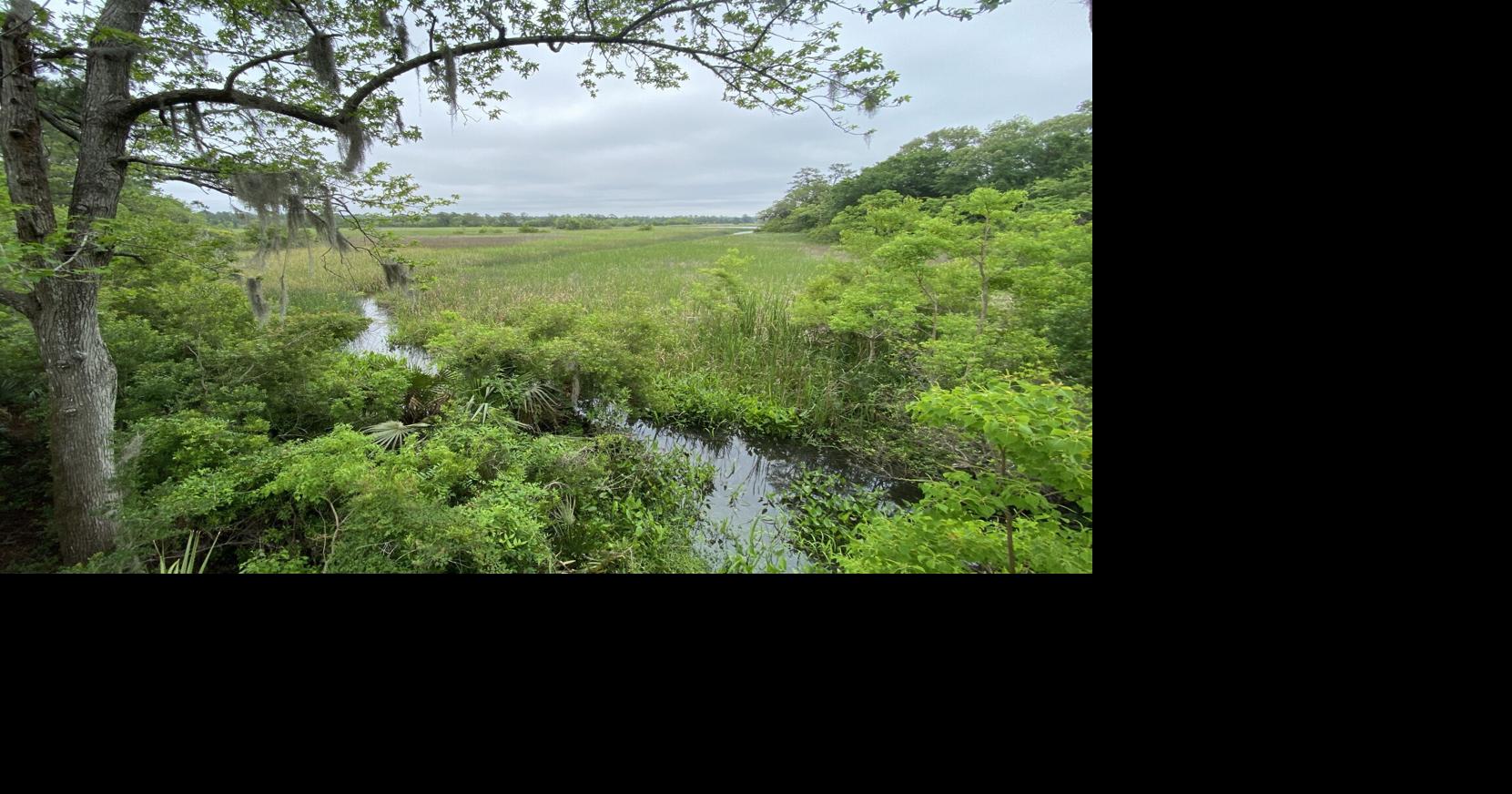 Dorchester County partners with conservationists for new public-access park on the Ashley River