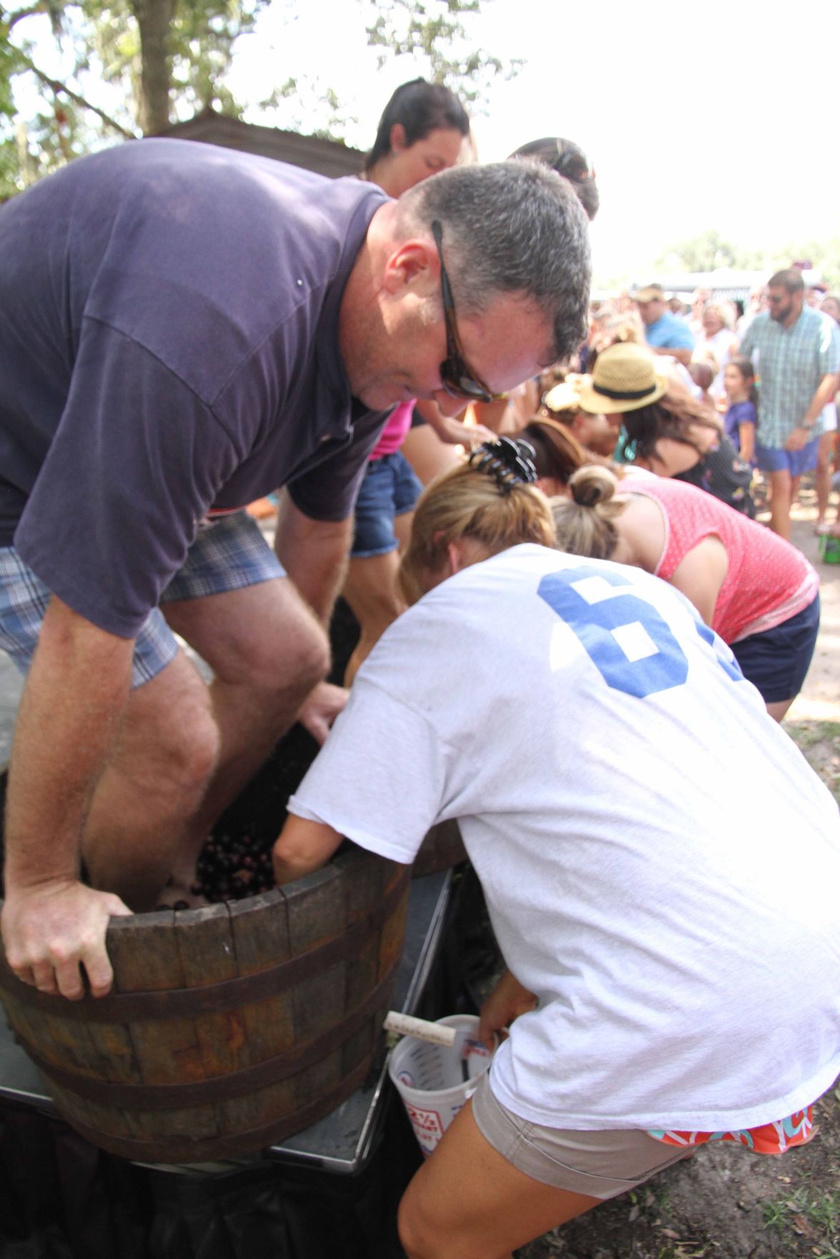 Grape Stomping Festival