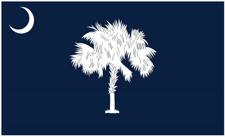 Everyone hated the new South Carolina flag design. Here is the 2nd ...