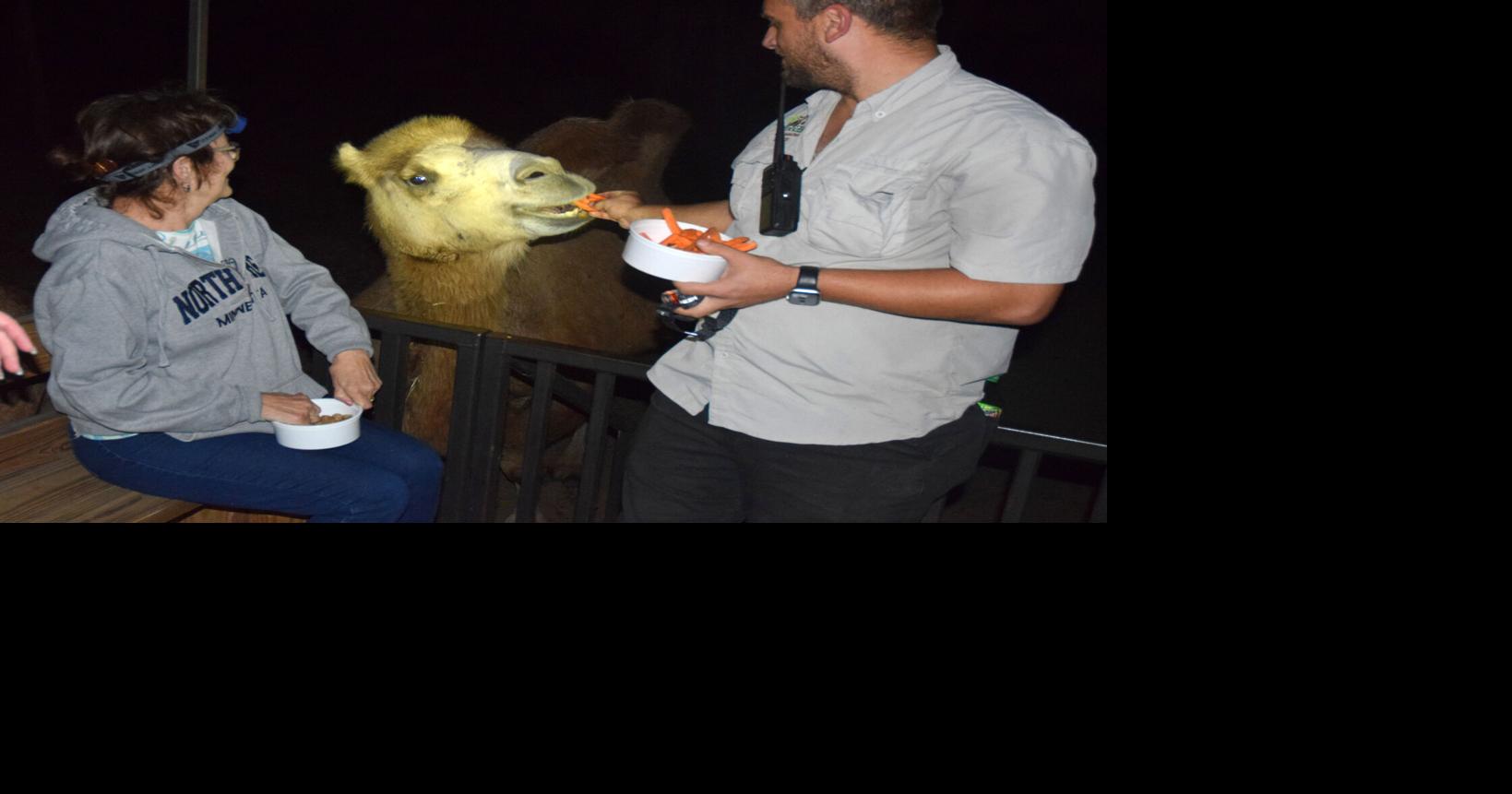 Go on a safari under the stars this October at an Aiken-area wildlife park