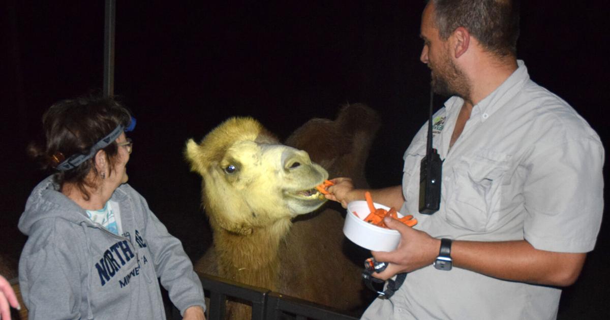 Go on a safari under the stars this October at an Aiken-area wildlife park
