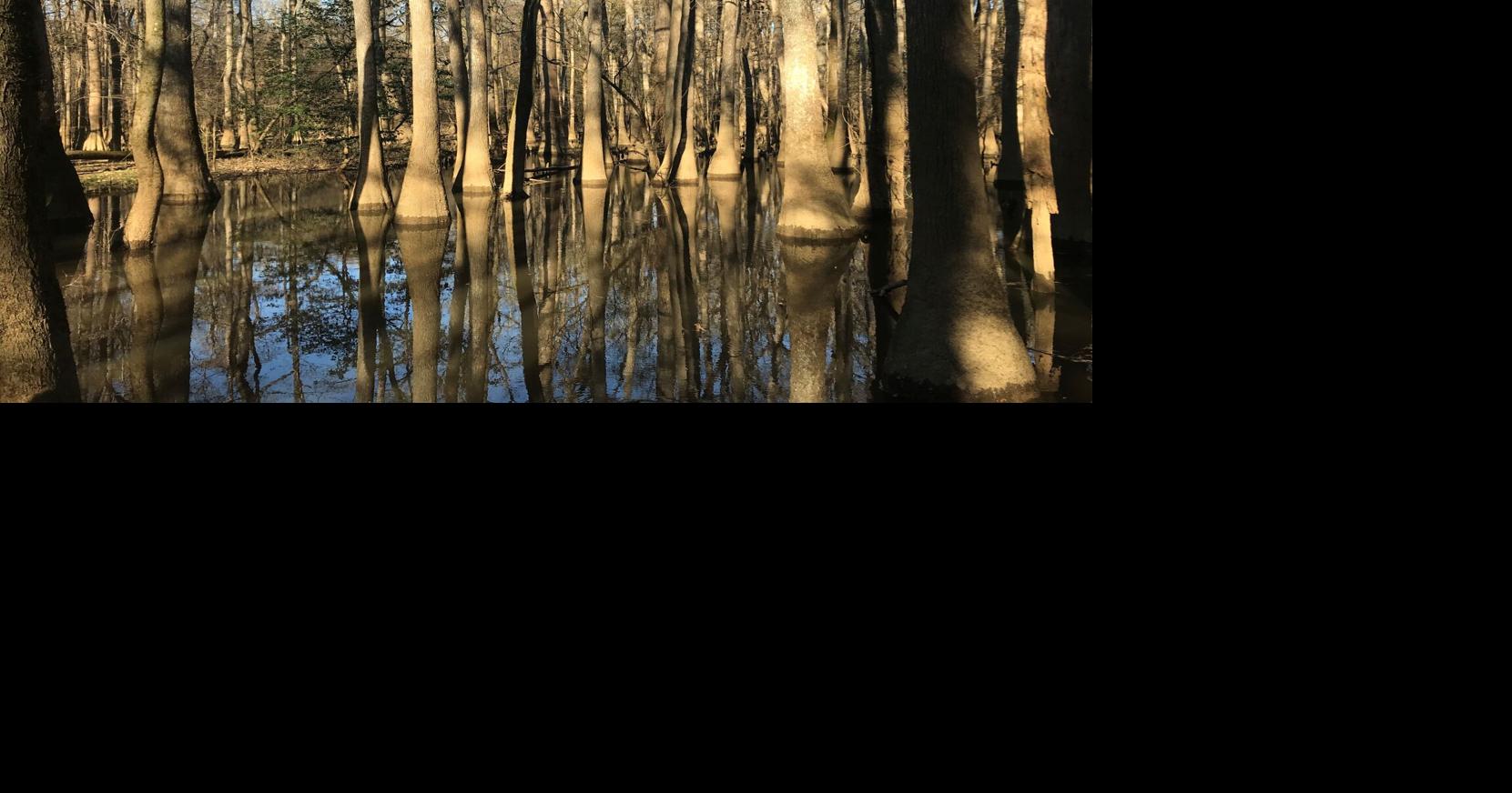 Did you know that South Carolina’s federal lands could hold gas reserves?