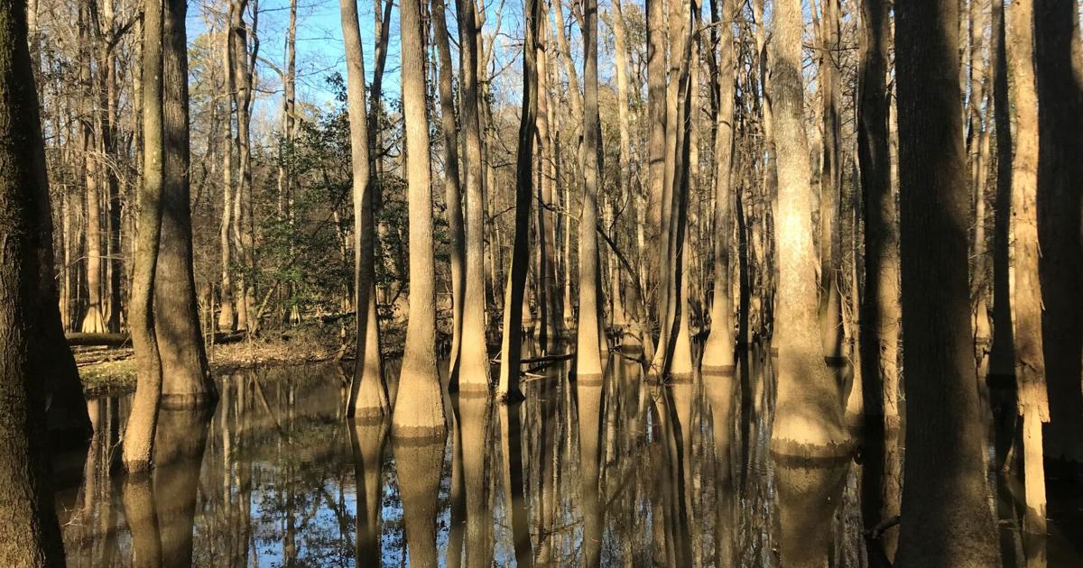 Did you know that South Carolina’s federal lands could hold gas reserves?