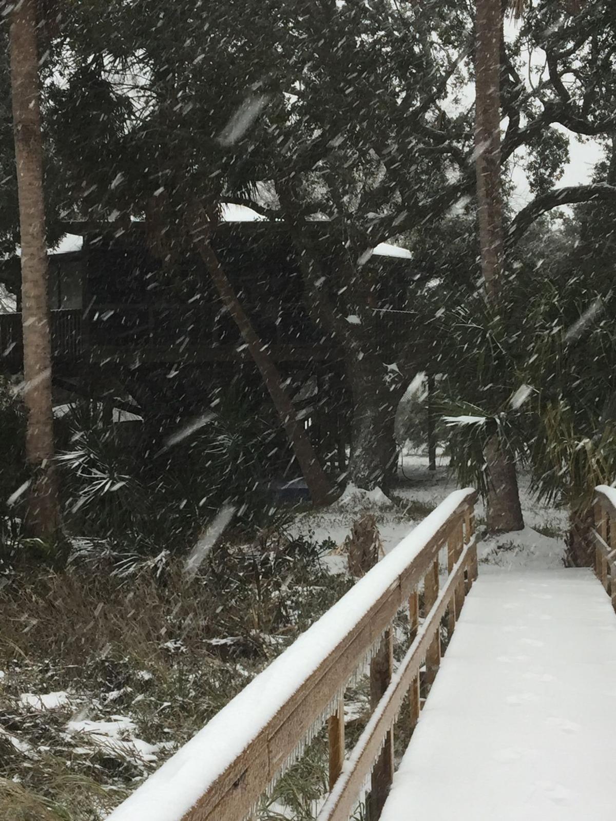 Reader Photos Snow Scenes Your Photos Postandcouriercom