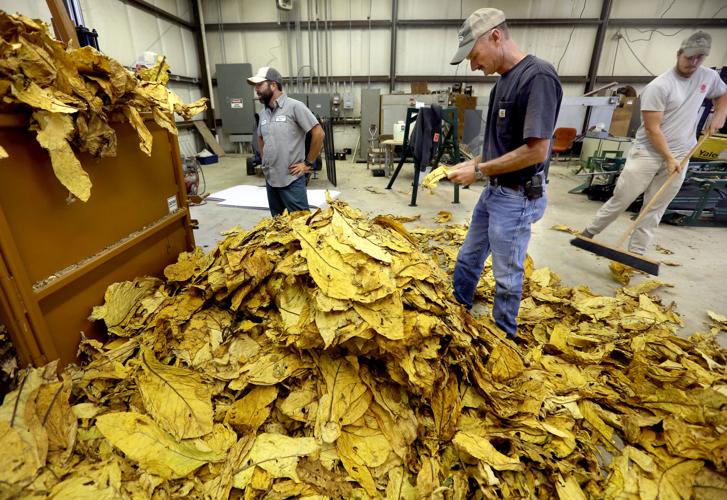 tobacco law nevada Nevada Assemblyman pushes to ban tobacco sales by 2030