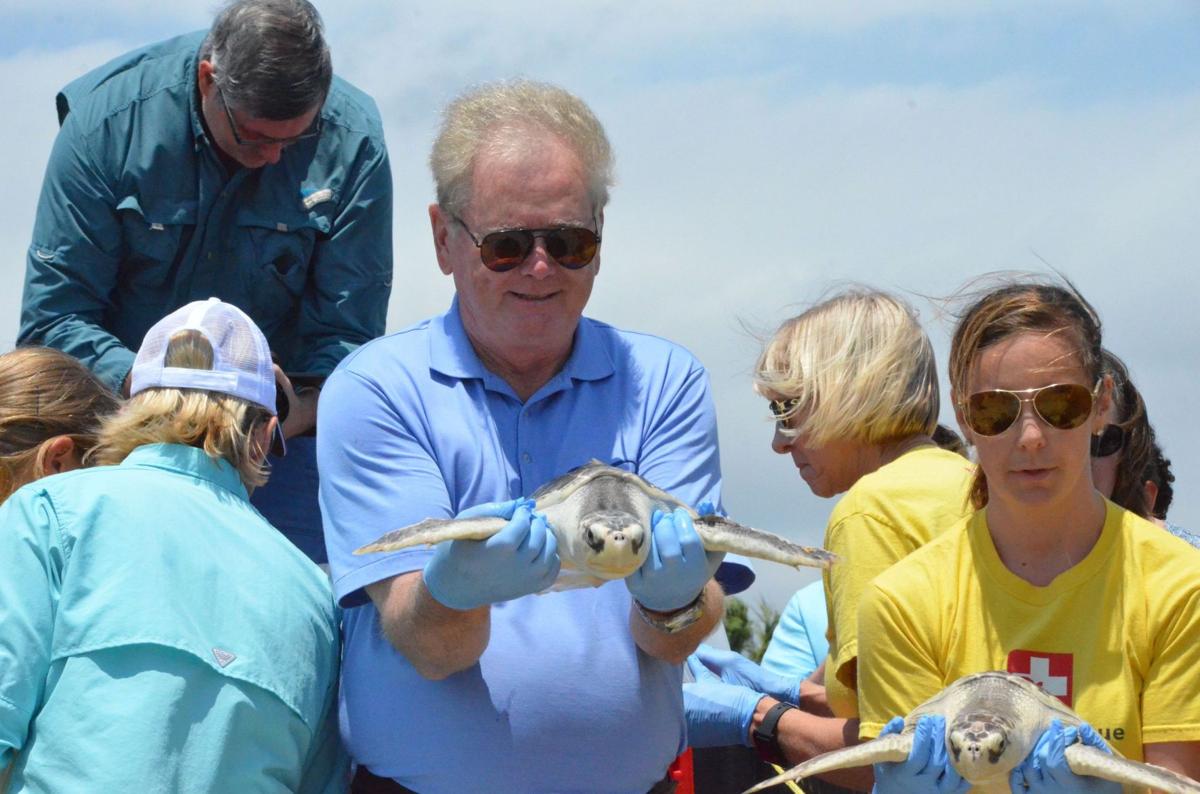 SC Aquarium releases six rehabbed sea turtles