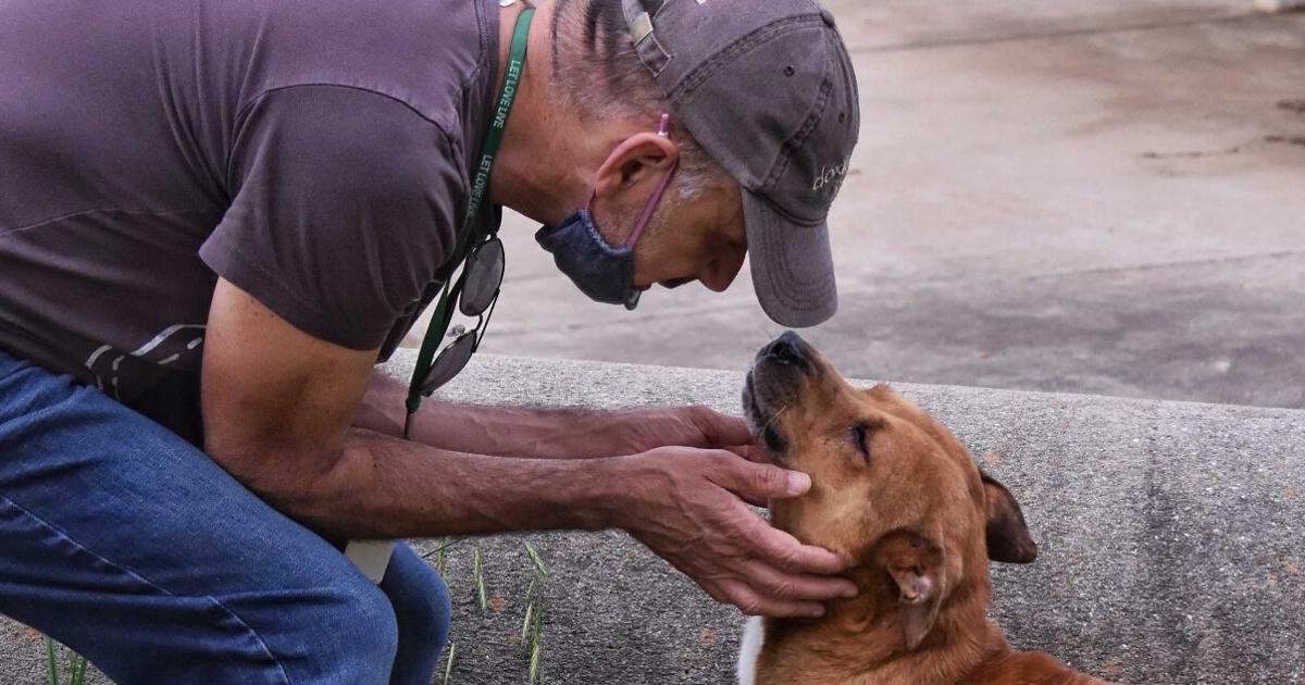 SPCA Albrecht Center offers tips for adopting a dog SPCA Albrecht Center offers tips for adopting a dog