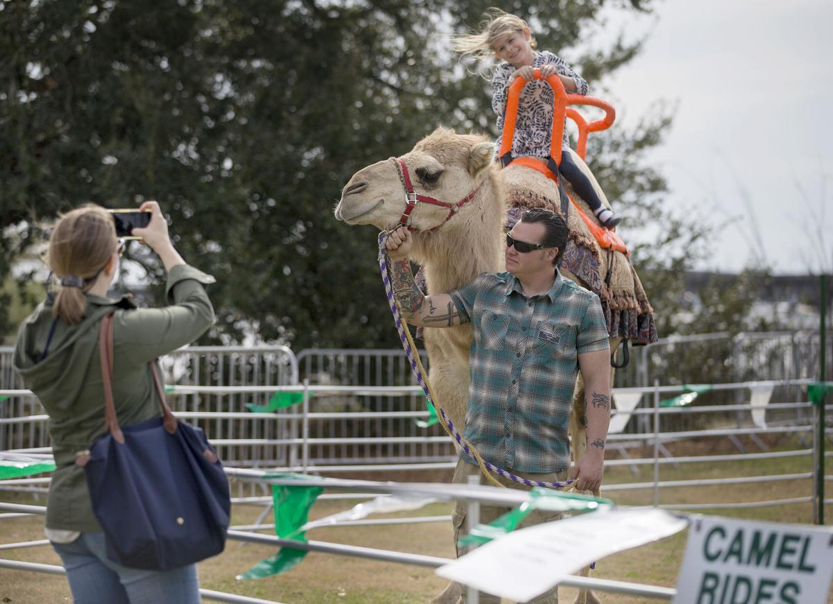 Camel rides.jpg
