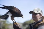 Letters: Young hawk visit to backyard inspiring