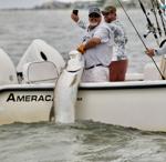 It's tarpon time in SC waters: 'They'll eat anything'