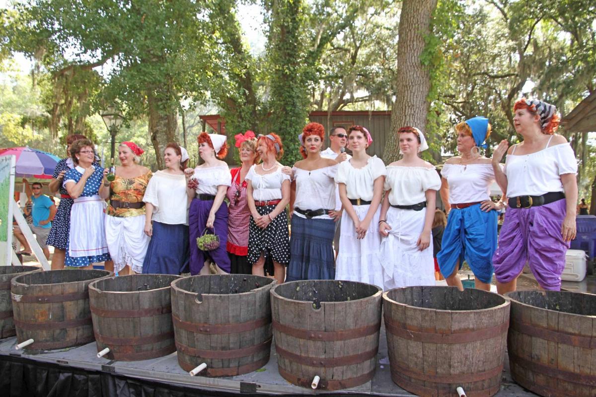 Grape Stomping Festival