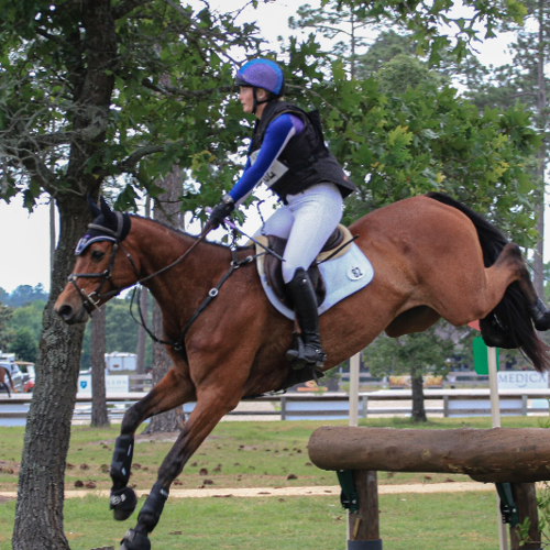 Navigating Equestrian Eventing Challenges: A Test of Skill Navigating Equestrian Eventing Challenges: A Test of Skill