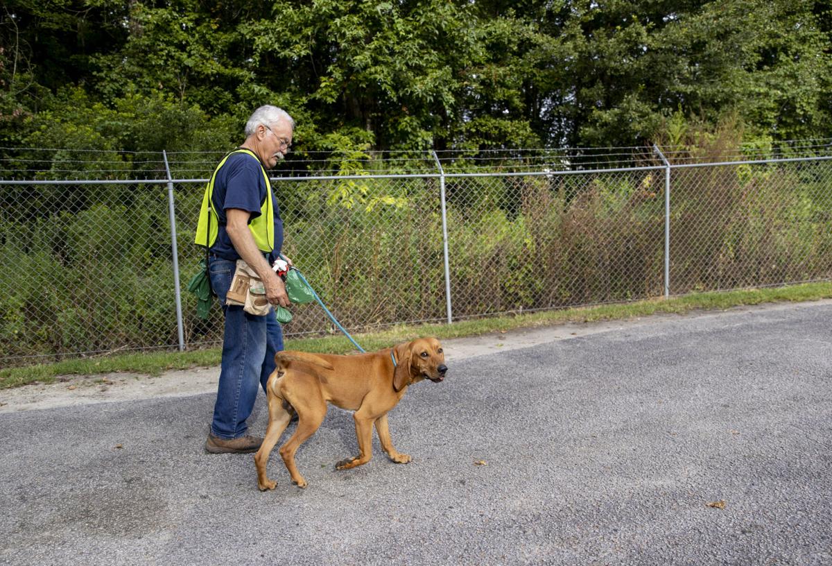 dorchester paws14.JPG