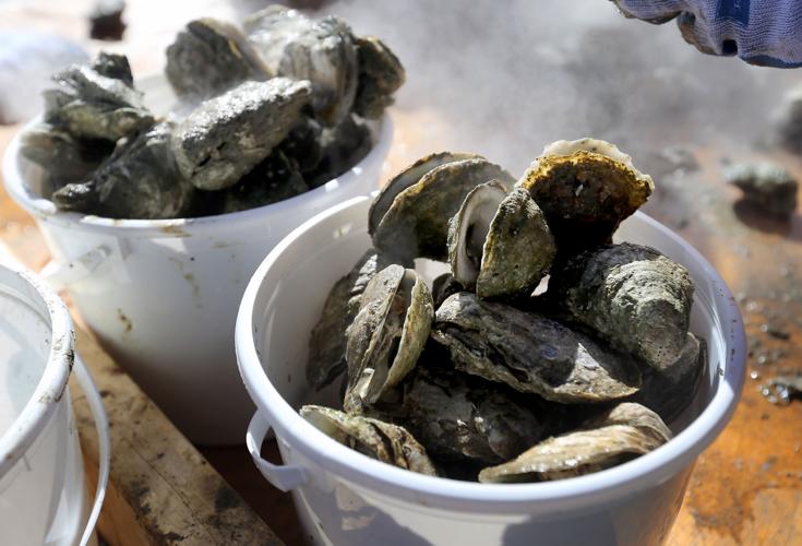 Firefly Distillery, Islander 71 host weekend oyster roasts | Food ...