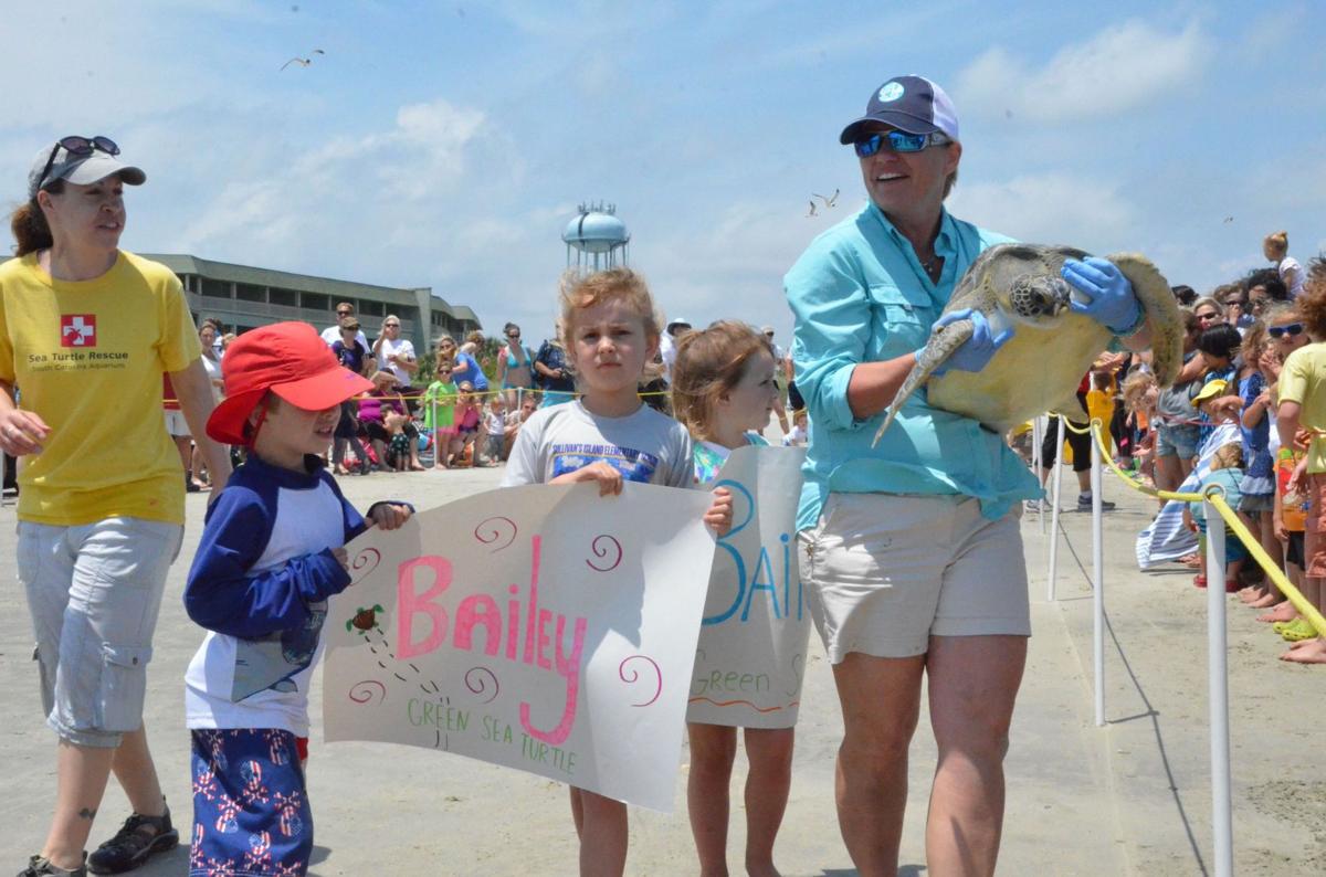 SC Aquarium releases six rehabbed sea turtles