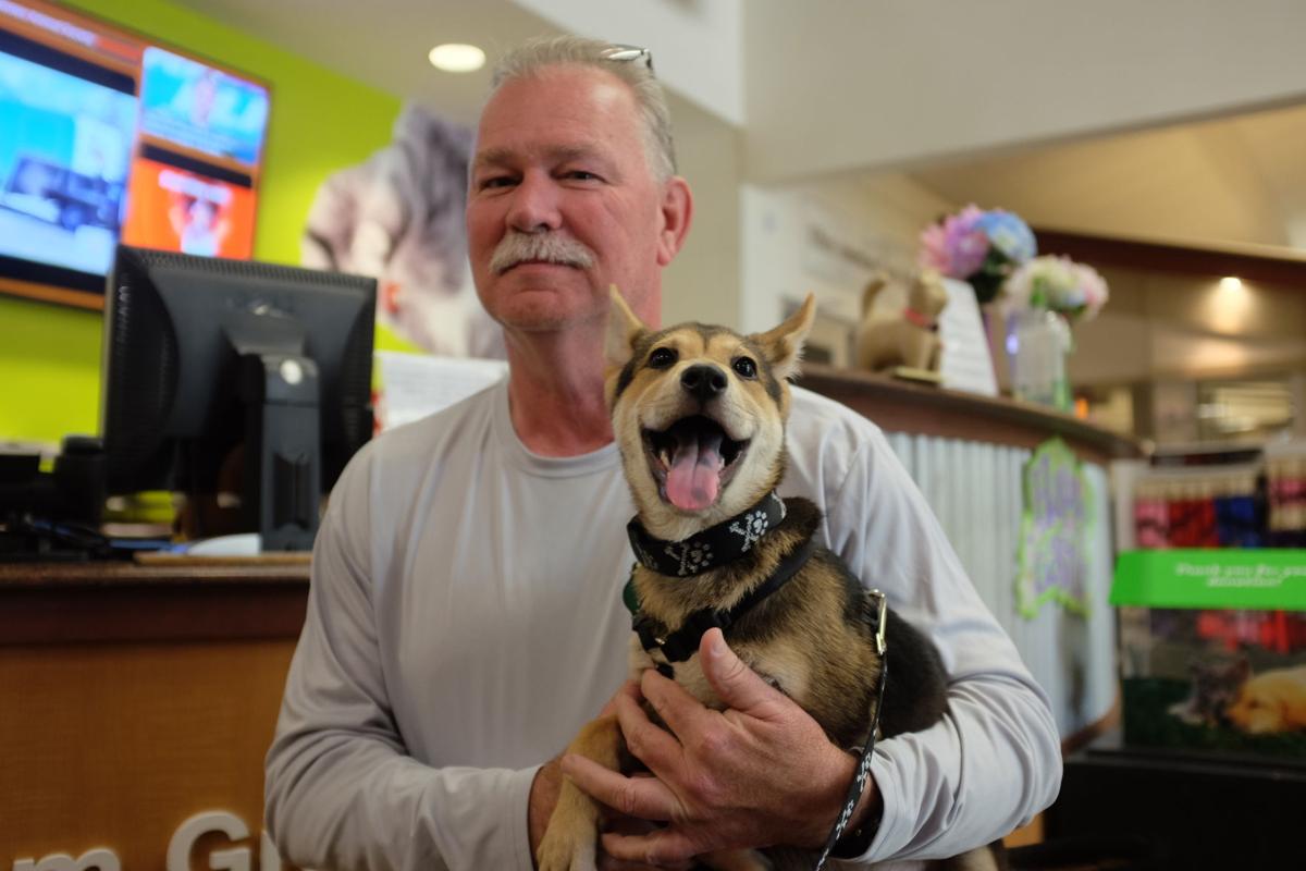 Eastern Iowa Animal Rehab Receives Dozens of Bra Donations