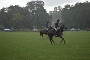 fall sunday polo