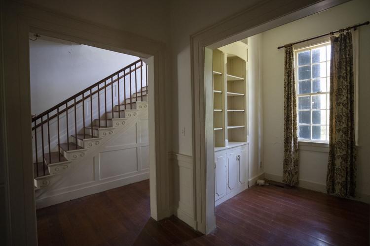 Photos Inside the Wedge Plantation Multimedia