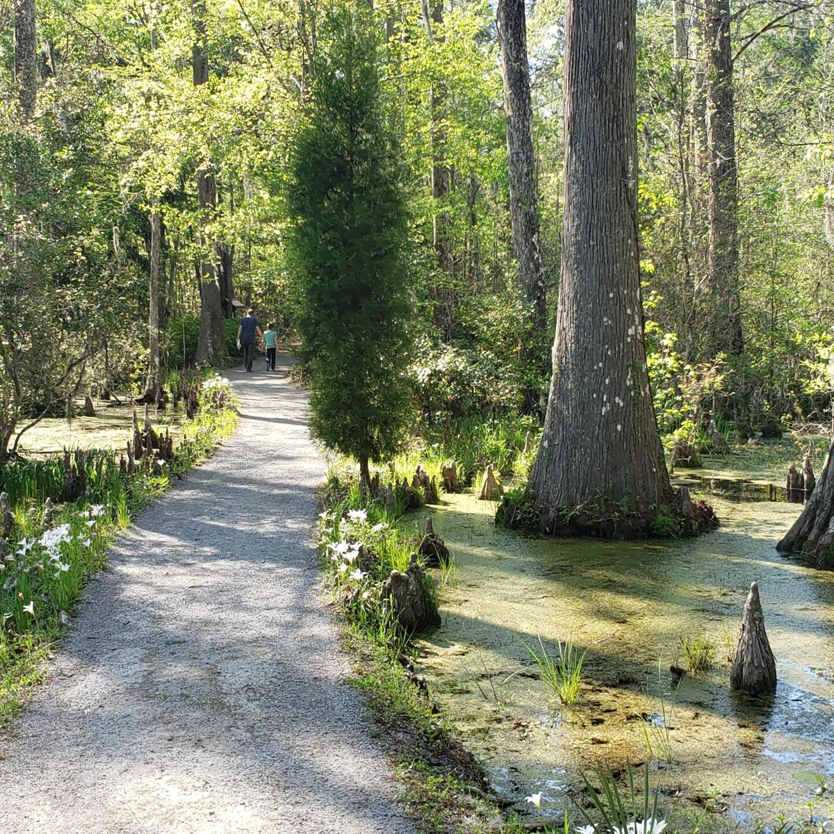 Cypress Gardens A short drive from Charleston Local Attractions