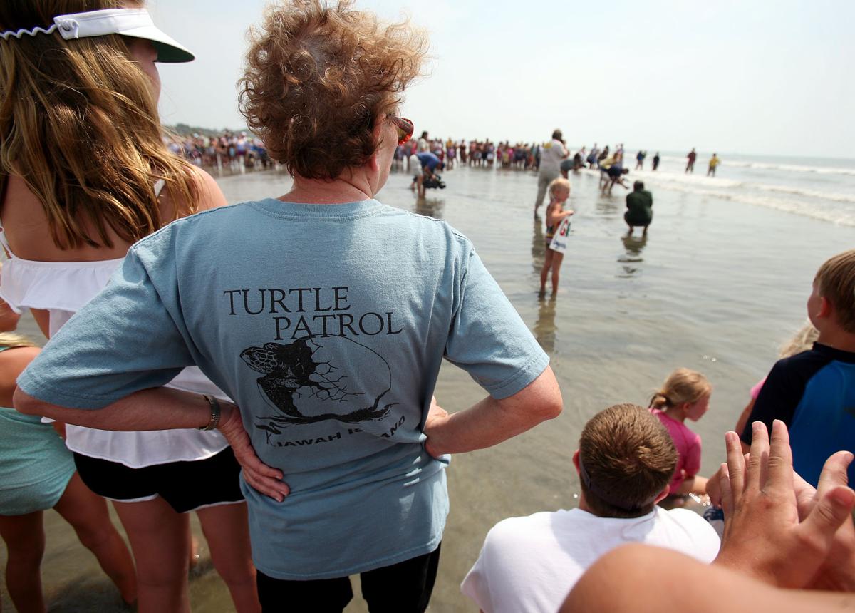 Turtle Release