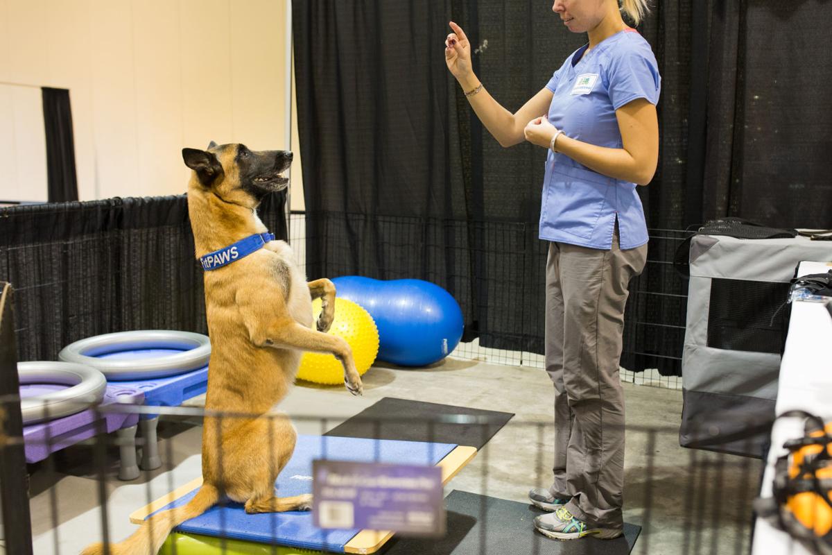 Pet Expo-October 14, 2017-021