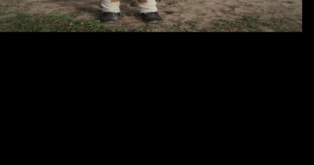 Charleston Summer Classic horse show celebrates equestrian competition