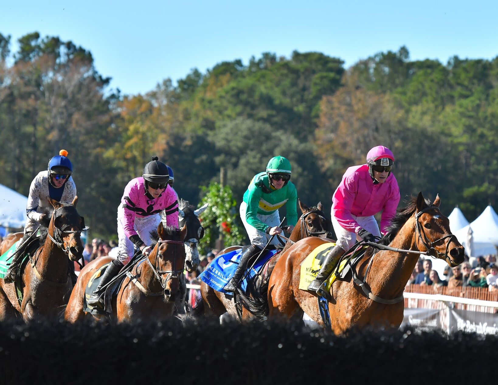 The 2020 Steeplechase of Charleston has returned to its roots