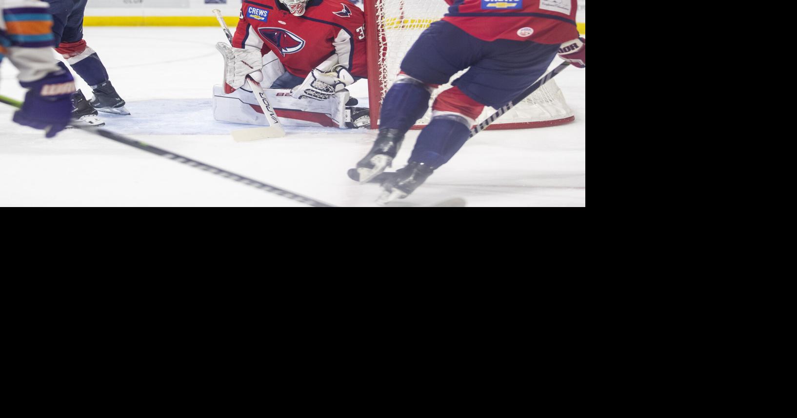 Orlando Solar Bears end South Carolina Stingrays' season in Game 7