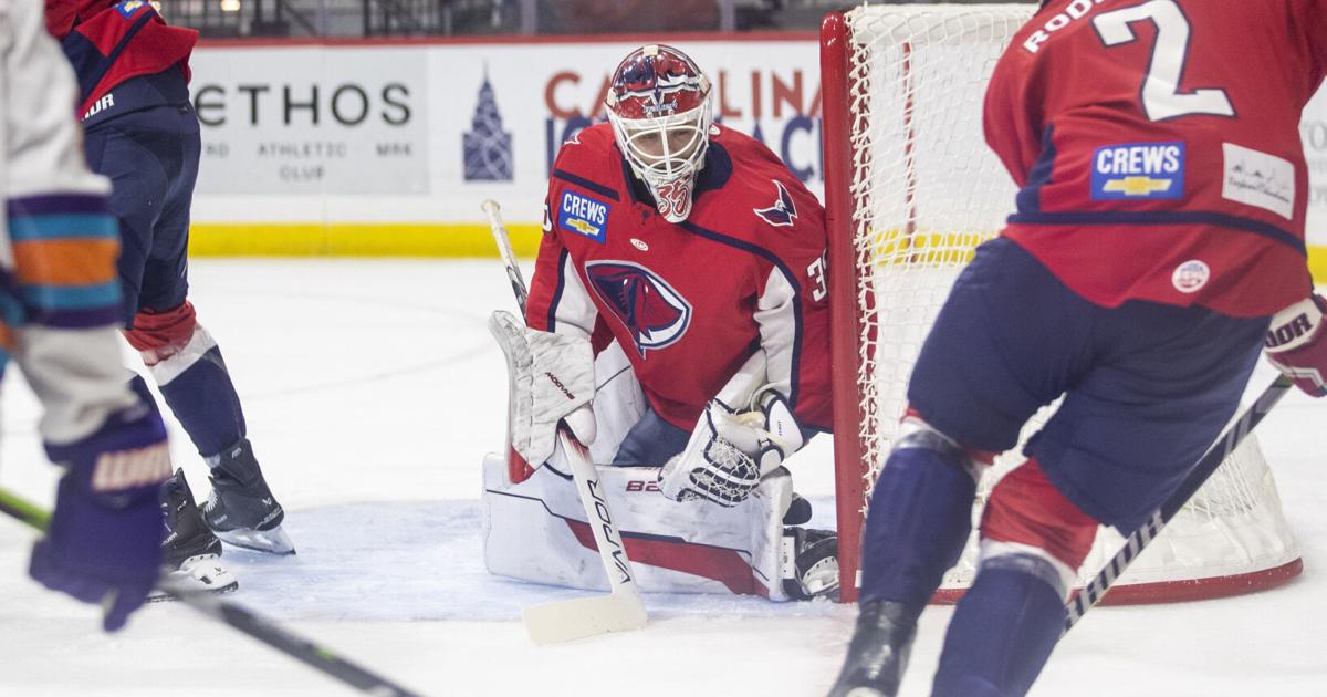Orlando Solar Bears end South Carolina Stingrays' season in Game 7